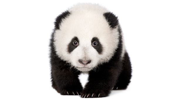 陕西长青国家级自然保护区第二次入选绿色名录