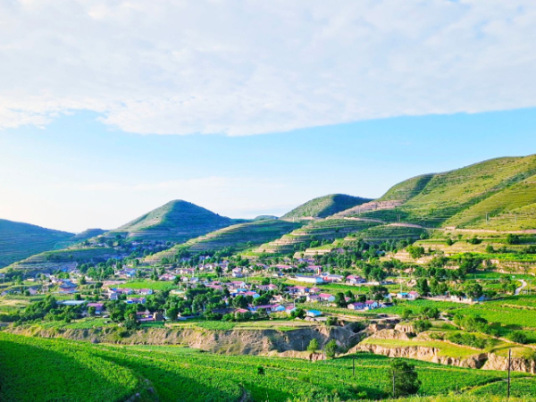 2020年以来安排专项资金7421万元！宁夏多措并举防治固废污染