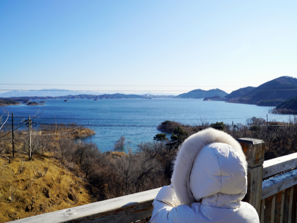 首部《密云水库鸟类图册》出炉！涉及228种鸟类