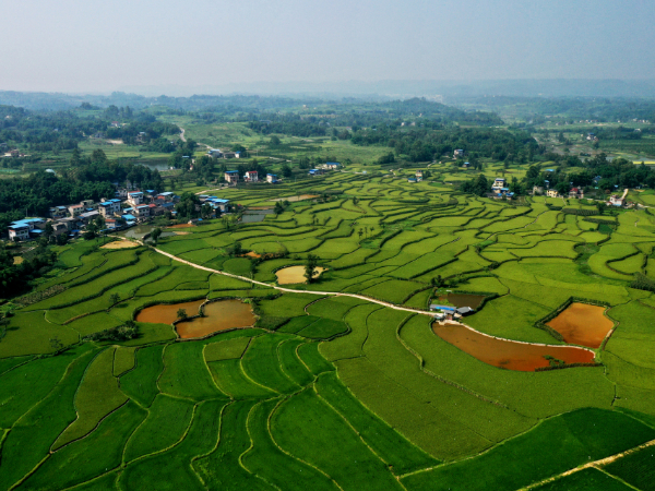 曾臭气熏天的广元三会村现在成为老百姓