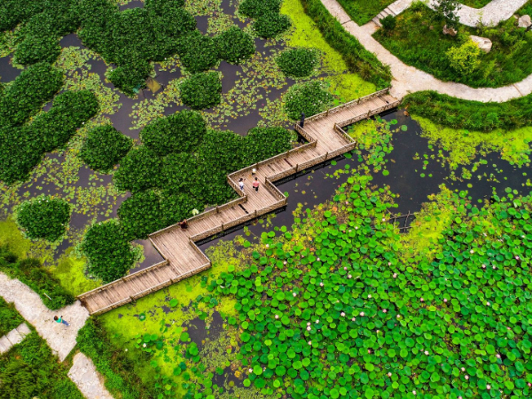 邯郸市委书记、市长强调：切