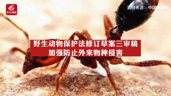 野生动物保护法修订草案三审