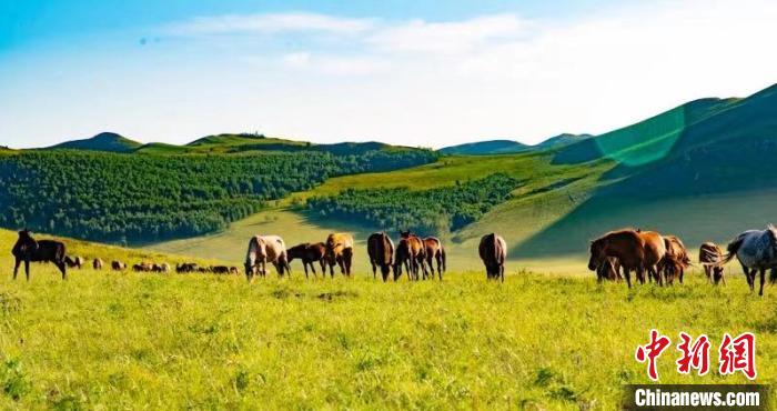 【十年@每一个奋斗的你】生态之城何以绘就山水画卷? 【十年@每一个奋斗的你】生态之城何以绘就山水画卷?