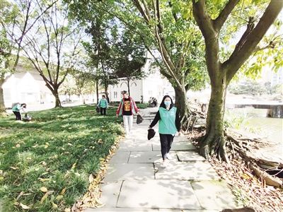 “总会+分会”,成都构建多层级志愿服务矩阵 “总会+分会”,成都构建多层级志愿服务矩阵