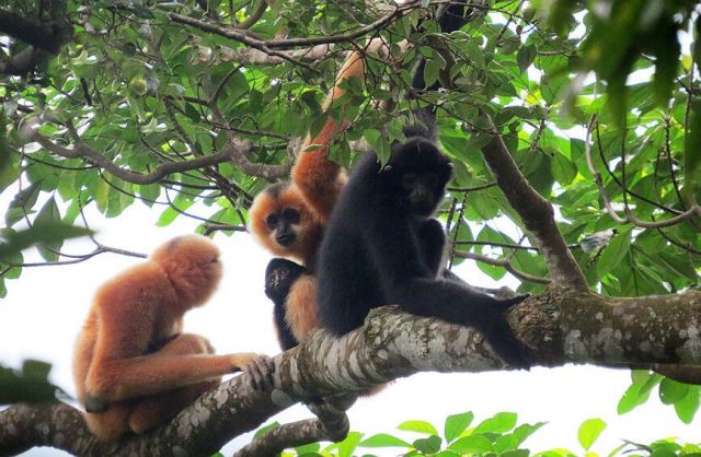海南:只此青绿铸“底色” 去白护蓝亮“招牌” 海南:只此青绿铸“底色” 去白护蓝亮“招牌”