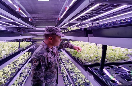 促进战力提升,东岛军营刮起“低碳风” 促进战力提升,东岛军营刮起“低碳风”