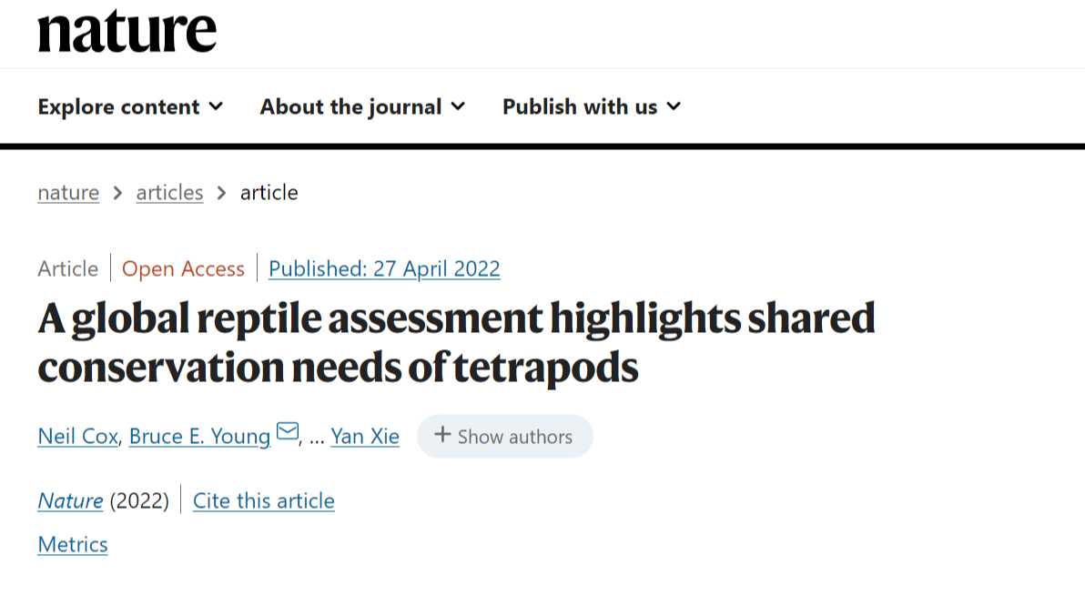 《自然》杂志:全球超1/5爬行动物面临灭绝 《自然》杂志:全球超1/5爬行动物面临灭绝