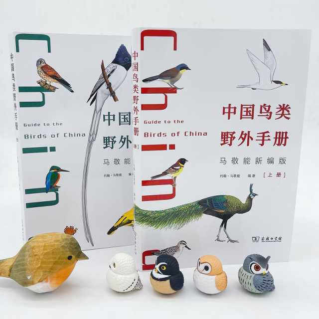 独家对话鸟类学家约翰·马敬能:这本影响一代观鸟人的书,出新版了 独家对话鸟类学家约翰·马敬能:这本影响一代观鸟人的书,出新版了