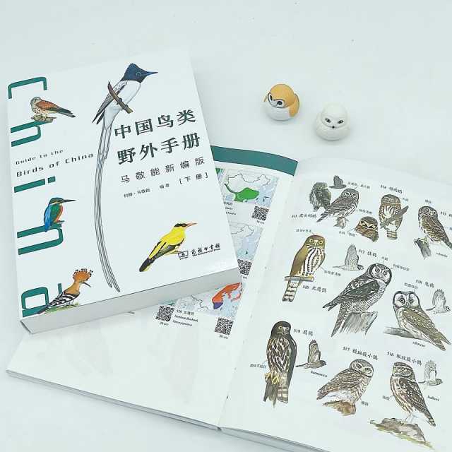 独家对话鸟类学家约翰·马敬能:这本影响一代观鸟人的书,出新版了 独家对话鸟类学家约翰·马敬能:这本影响一代观鸟人的书,出新版了