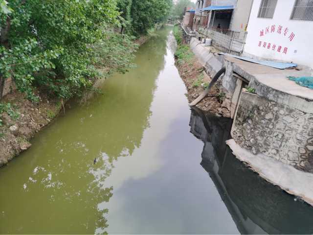 污水直排致黑臭,水藻肆虐如绿毯!黄河一级支流金堤河、天然文岩渠水生态环境问题突出 污水直排致黑臭,水藻肆虐如绿毯!黄河一级支流金堤河、天然文岩渠水生态环境问题突出