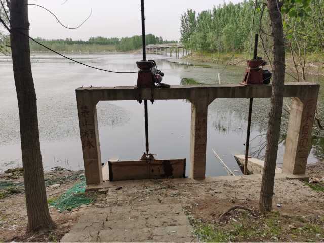 污水直排致黑臭,水藻肆虐如绿毯!黄河一级支流金堤河、天然文岩渠水生态环境问题突出 污水直排致黑臭,水藻肆虐如绿毯!黄河一级支流金堤河、天然文岩渠水生态环境问题突出