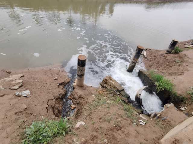 污水直排致黑臭,水藻肆虐如绿毯!黄河一级支流金堤河、天然文岩渠水生态环境问题突出 污水直排致黑臭,水藻肆虐如绿毯!黄河一级支流金堤河、天然文岩渠水生态环境问题突出