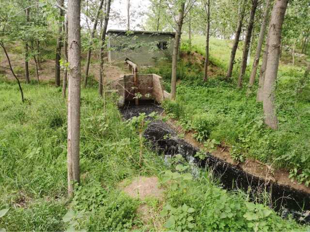 污水直排致黑臭,水藻肆虐如绿毯!黄河一级支流金堤河、天然文岩渠水生态环境问题突出 污水直排致黑臭,水藻肆虐如绿毯!黄河一级支流金堤河、天然文岩渠水生态环境问题突出