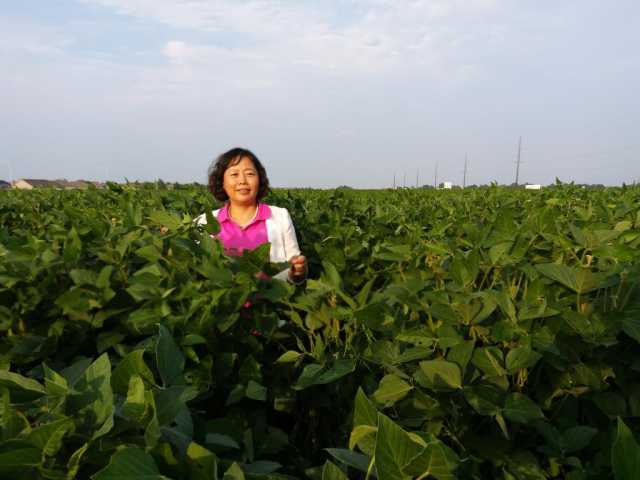 “豆大”的事儿,她一干就是37年 “豆大”的事儿,她一干就是37年