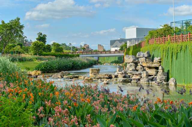 南宁生态持续向好,让老百姓幸福满满 南宁生态持续向好,让老百姓幸福满满