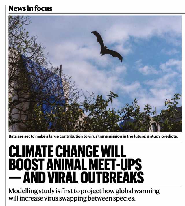 未来50年，气候变化可能迫使更多哺乳动物相遇，病毒传播加剧！