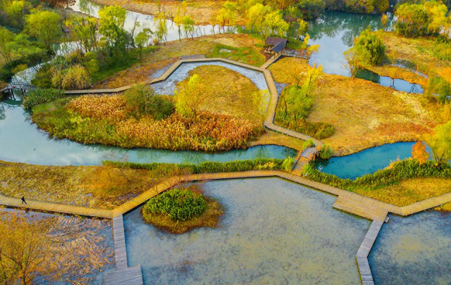 立法治根基 护湿地之美