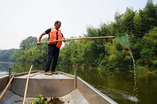 六五环境日丨重庆“绿精灵”如何共建清洁美丽世界? 六五环境日丨重庆“绿精灵”如何共建清洁美丽世界?