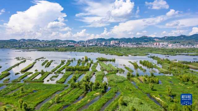 贵州毕节:厚植绿色发展底蕴 扩增生态产业红利 贵州毕节:厚植绿色发展底蕴 扩增生态产业红利