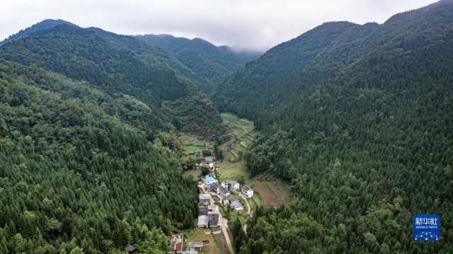 贵州毕节:厚植绿色发展底蕴 扩增生态产业红利 贵州毕节:厚植绿色发展底蕴 扩增生态产业红利