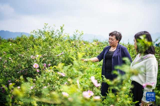 贵州毕节:厚植绿色发展底蕴 扩增生态产业红利 贵州毕节:厚植绿色发展底蕴 扩增生态产业红利