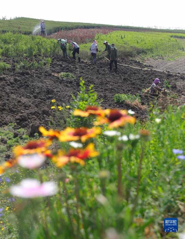 新华全媒+|抚顺西露天矿的生态蝶变 新华全媒+|抚顺西露天矿的生态蝶变