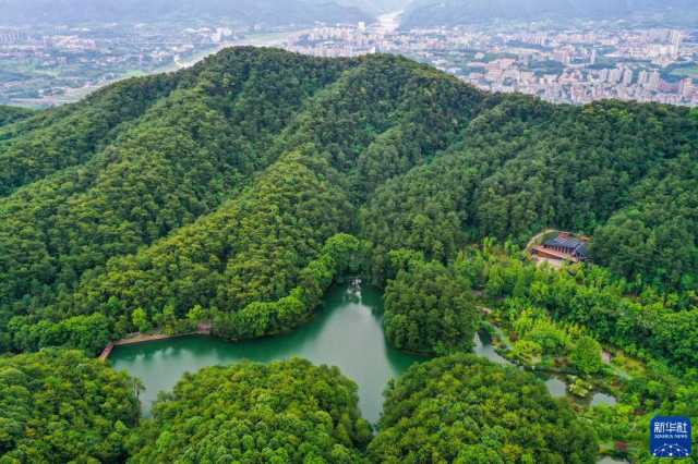 重庆缙云山：城市“绿肺”又回来了