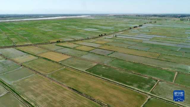 夏日黄河 夏日黄河