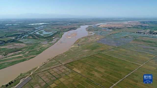 夏日黄河 夏日黄河