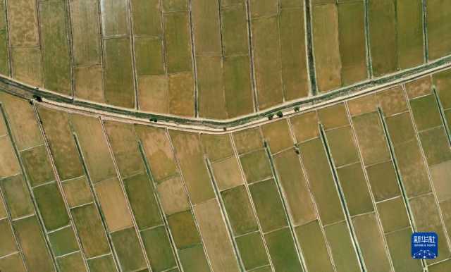 夏日黄河 夏日黄河