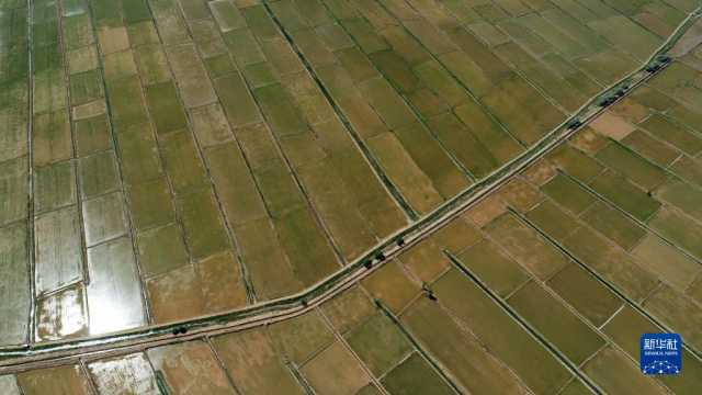 夏日黄河 夏日黄河