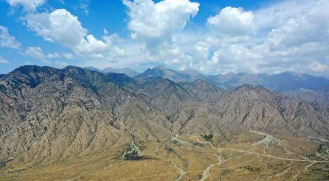 贺兰山除“旧疤”生“新肌” 矿坑里“长”出绿色桃源