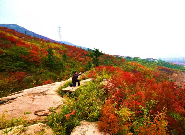 “有事好商量”解决民生问题!江苏连云区“敞开大门纳民意” “有事好商量”解决民生问题!江苏连云区“敞开大门纳民意”