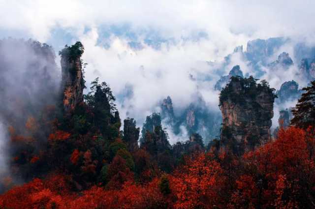 予以保护,严禁破坏!我国18处世界遗产保护优于国际平均水平 予以保护,严禁破坏!我国18处世界遗产保护优于国际平均水平