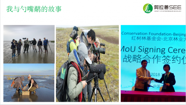 环境公益领域为什么需要“她”? 环境公益领域为什么需要“她”?