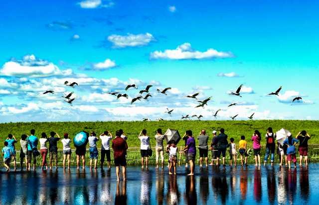 齐齐哈尔擦亮“鹤城”蓝天