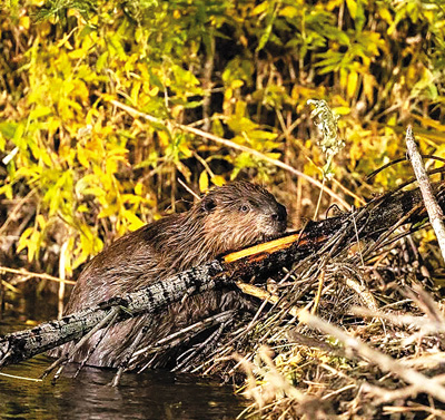这些年轻人,用AI“温暖世界” 这些年轻人,用AI“温暖世界”