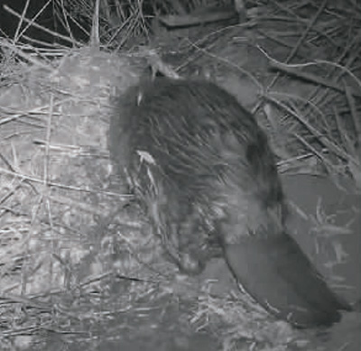 这些年轻人,用AI“温暖世界” 这些年轻人,用AI“温暖世界”