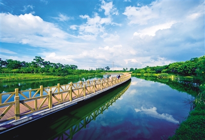 着力打造美丽中国的广东样板 着力打造美丽中国的广东样板