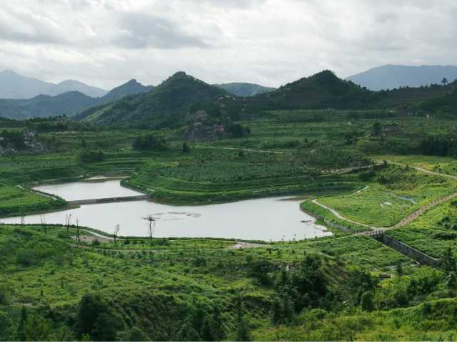 “稀土王国”赣州让“红色荒漠”重披绿衣！看中央生态环保督察如何实现“四两拨千斤”
