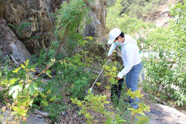 山东泰安:开展生态文明宣传月系列活动 山东泰安:开展生态文明宣传月系列活动
