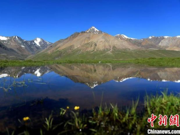 青海:祁连山木里矿区生态环境监测方案及监测结果通过认可 青海:祁连山木里矿区生态环境监测方案及监测结果通过认可