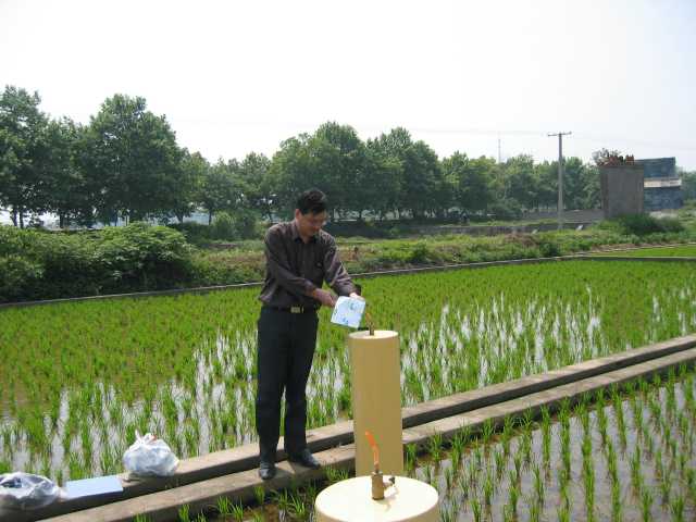 系列解读②水稻丰产与甲烷减排，如何“鱼”与“熊掌”兼得？