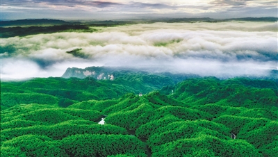 乐山:开启“海棠香国”的生态幸福“密码” 乐山:开启“海棠香国”的生态幸福“密码”