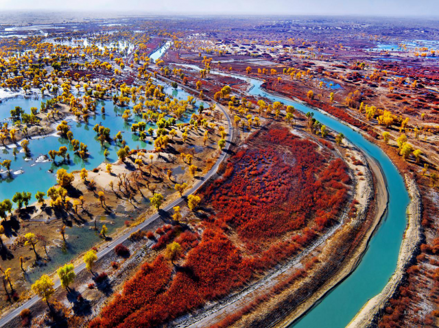 塔里木河新生记:补水还绿,戈壁沙漠重现生机 塔里木河新生记:补水还绿,戈壁沙漠重现生机