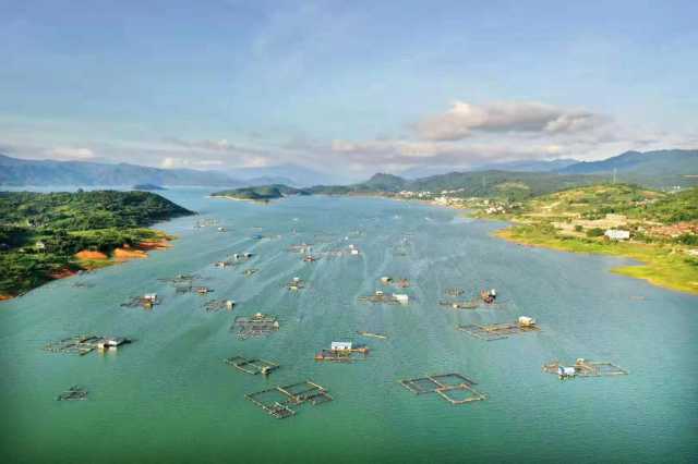 人间天上一湖水：东江湖治水记