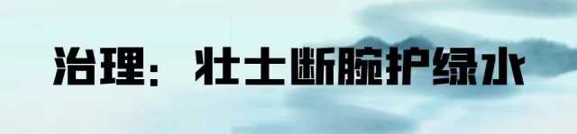 人间天上一湖水：东江湖治水记