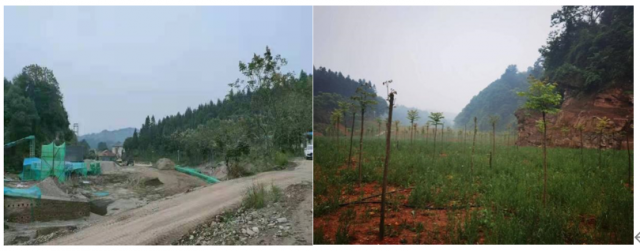 “利剑”行动丨常德以雷霆手段整改大洑溪违规采砂 “利剑”行动丨常德以雷霆手段整改大洑溪违规采砂