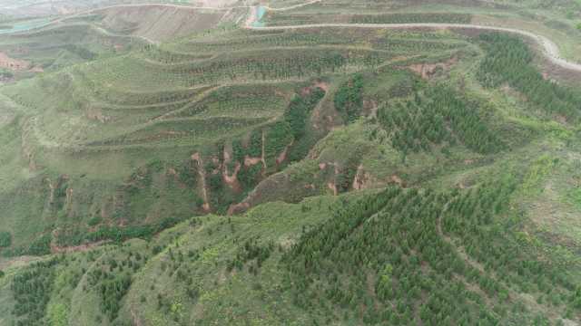 “体检单”“好方子”，督察“利剑”守好陕西绿水青山