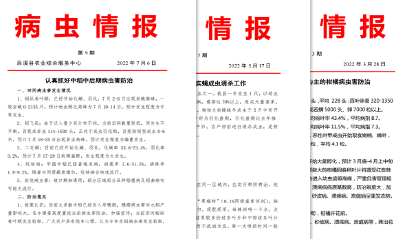 以精准测报推进农药减量,怀化辰溪县“利剑”行动见成效 以精准测报推进农药减量,怀化辰溪县“利剑”行动见成效